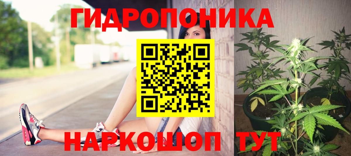 Канабис планчик  Вход с VPN  Бошки Шишки LSD WEED  Канабис план  Родники 